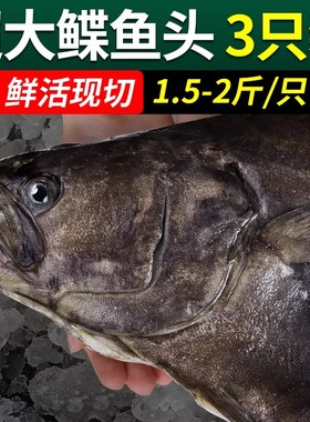 鸦片鱼头碟鱼头新鲜冷冻超大格陵兰进口深海鲽鱼头3只装鸦片蝶鱼