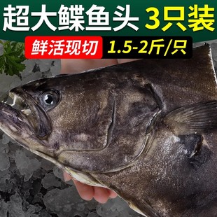 鸦片鱼头碟鱼头新鲜冷冻超大格陵兰进口深海鲽鱼头3只装鸦片蝶鱼