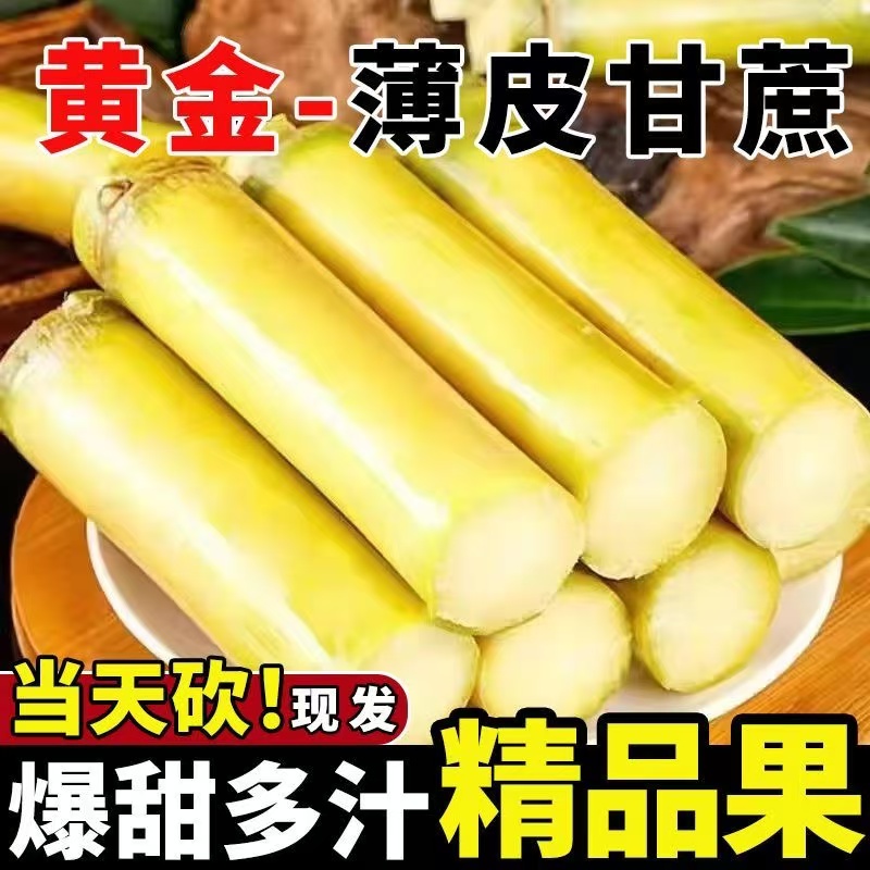 云南黄金甘蔗黄皮水果甘蔗现砍5斤清甜多汁精选中段松软不硬