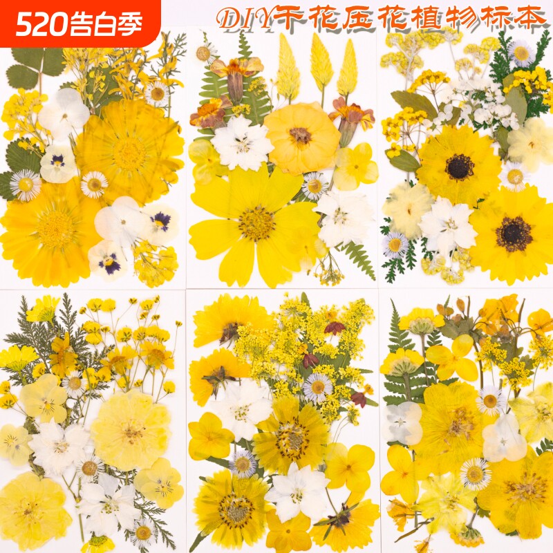 干花压花diy材料组合包押花真花压花真树叶标本画手工造型材料