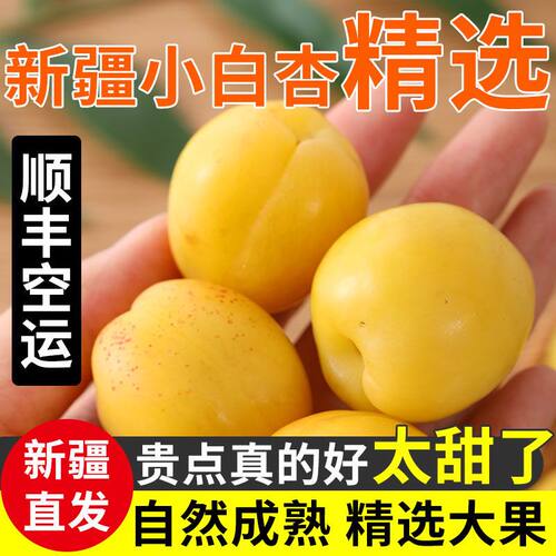 正宗新疆小白杏蜜甜多汁