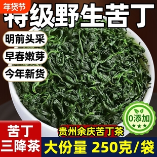 小叶苦丁茶特级野生高山余庆新茶嫩芽泡水喝降火养生茶三高茶正品
