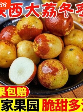 【自家果园】陕西大荔冬枣脆甜好吃新鲜水果冬枣大枣鲜枣子包邮