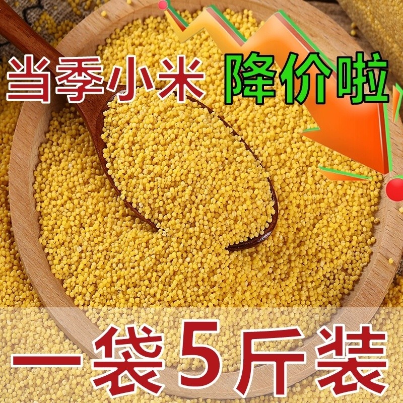 农家黄小米五谷杂粮粗粮当季新货米粥新食用米油丰厚香糯米香精选