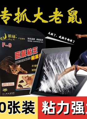 老鼠粘强力巨鼠粘鼠板大老鼠贴家用室内正品扑捉器灭捕鼠神器超强