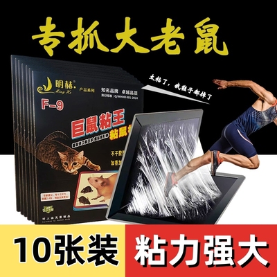 明赫强力老鼠粘巨鼠粘王黑白胶