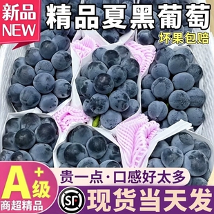 夏黑葡萄5斤新鲜应当季现摘葡萄黑加仑提子孕妇水果整箱顺丰包邮