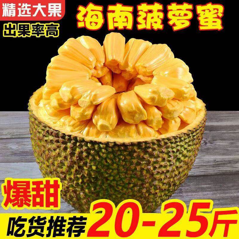 海南黄肉菠萝蜜当季新鲜热带水果木波罗蜜香甜大果特产正宗一整个