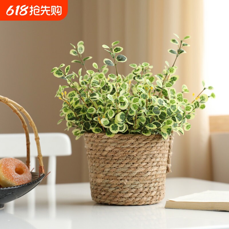 泰环 ins北欧仿真植物小花束套装家居客厅装饰绿植盆栽桌面摆件