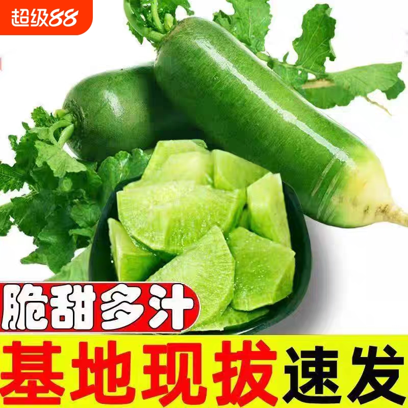 【热卖】水果萝卜生吃青萝卜绿箩卜甜脆嫩现拔现发当季新鲜蔬菜