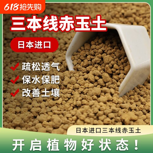 赤玉土三本线日本进口正品硬质颗粒盆景专用铺面麦饭石土壤种植土