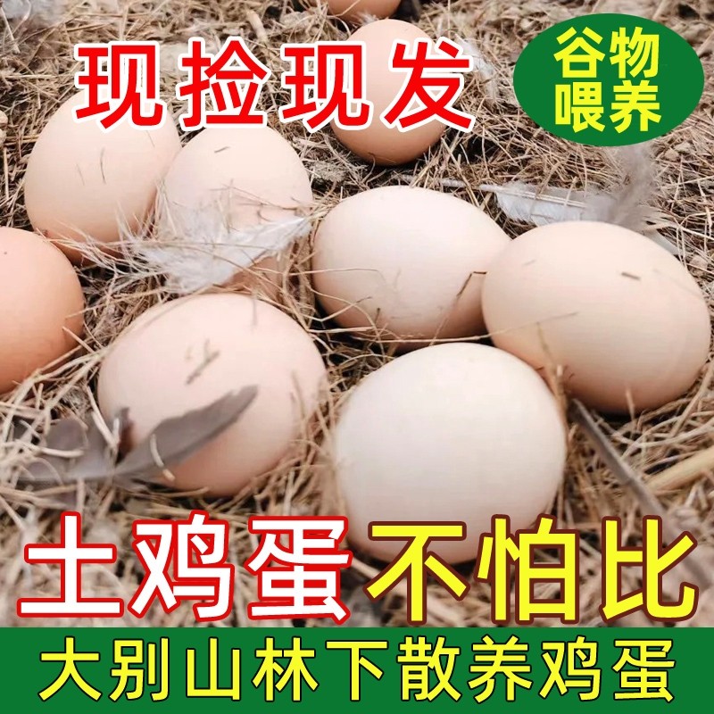 土鸡蛋大别山林下散养初生蛋虫草鸡蛋营养高±50g无抗谷物鲜鸡蛋