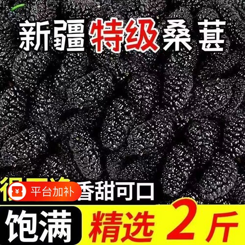 新疆野生黑桑葚桑葚干免洗无沙桑新疆罐装特级直泡茶泡水泡酒无沙