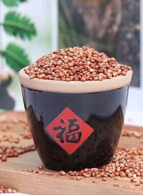 酿酒专用红高粱红缨子贵州糯高粱