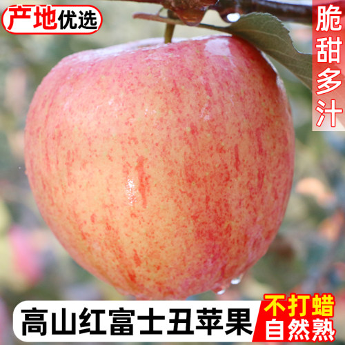陕西红富士丑苹果水果脆甜老树果