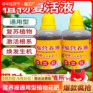 营养液通用型植物花肥发财树富贵竹绿萝水培盆栽家用花卉养花肥料