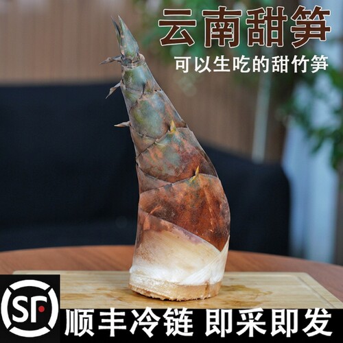 云南普洱水果甜龙笋新鲜现挖现发