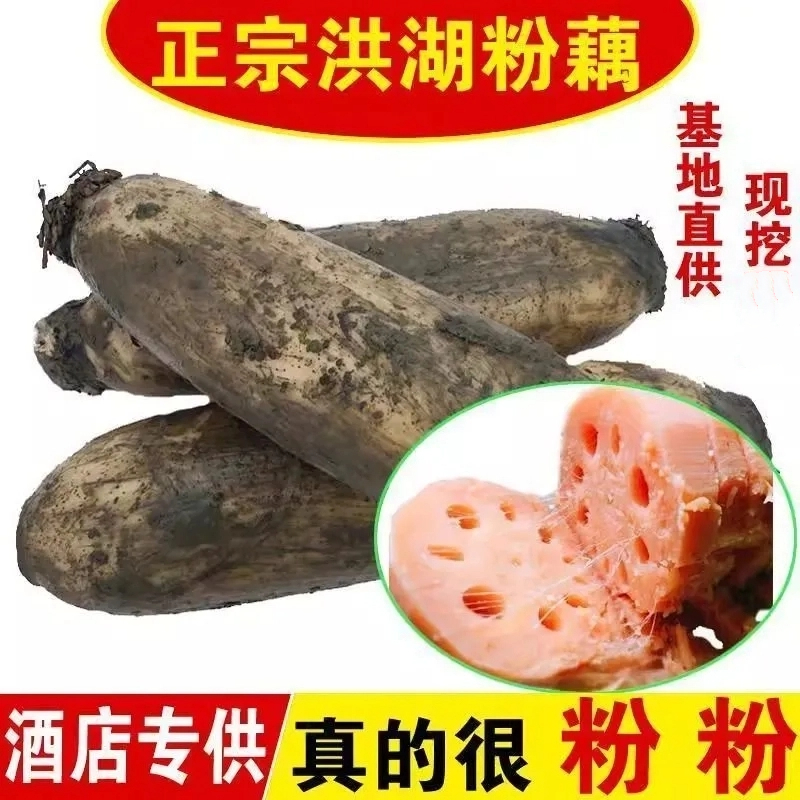正宗洪湖莲藕新鲜煲汤粉藕现挖湖藕面藕红藕湖北特产泥藕蔬菜5斤