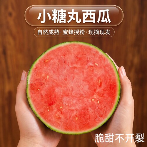 糖丸迷你小西瓜薄皮高甜新鲜现发手撕2K西瓜当季水果冰淇淋现摘