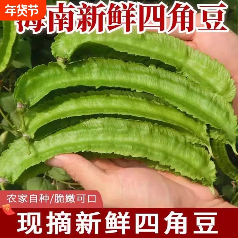 【净重包邮】海南四棱豆四角豆龙角豆新鲜到家蔬菜皇帝豆三亚特产