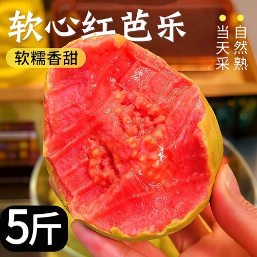 福建漳州红心芭乐番石榴水果新鲜包邮奶油低糖冰淇淋脆甜鲜果软糯