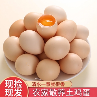 新鲜散养鸡蛋新鲜土鸡蛋正宗农家生鲜鸡蛋柴草谷物鸡蛋