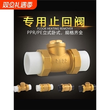 PE止回阀PPR铜卧立式双活接单向阀逆止自来水管表4/6分DN20/25/32