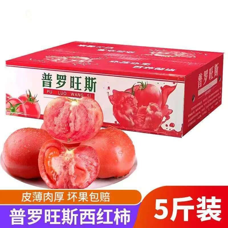 正宗陕西泾阳普罗旺斯西红柿水果新鲜当季番茄蔬菜应季自然熟沙瓤