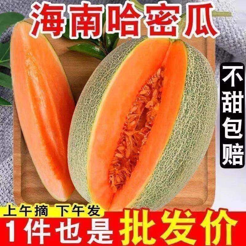 海南哈密瓜9斤当季新鲜水果一整箱网纹甜瓜孕妇西州蜜瓜香瓜包邮