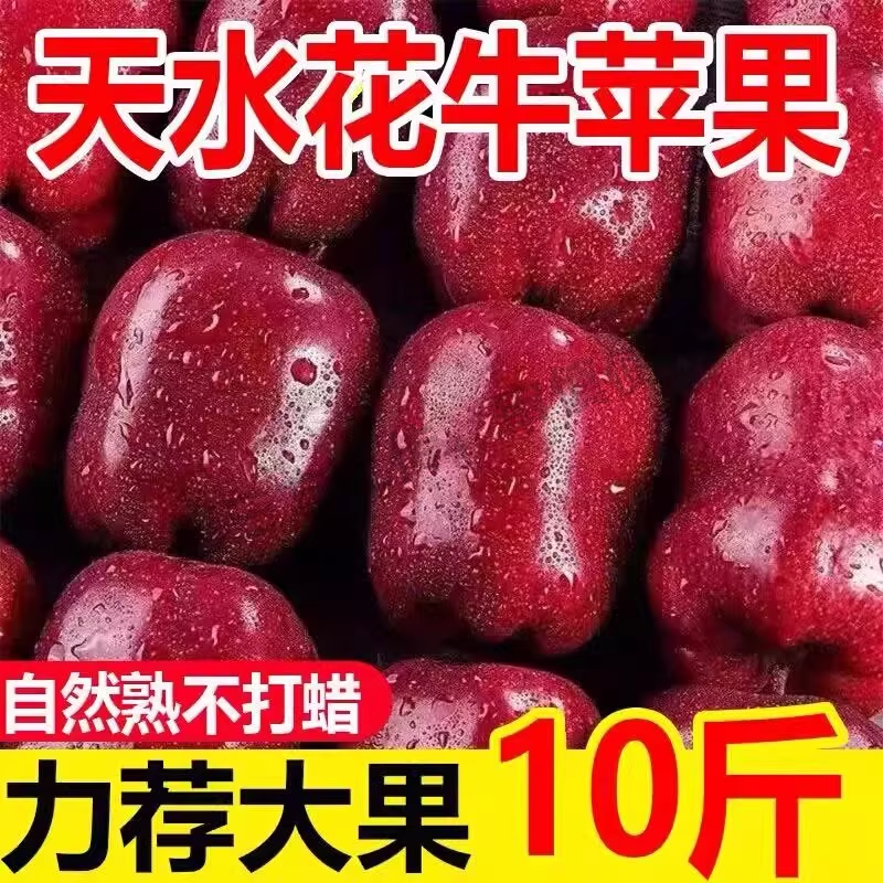 正宗甘肃天水花牛苹果水果新鲜当季红蛇粉面沙年货送礼礼盒装,水产肉类/新鲜蔬果/熟食,苹果,淘宝优惠券,粉丝福利购,淘宝优惠卷