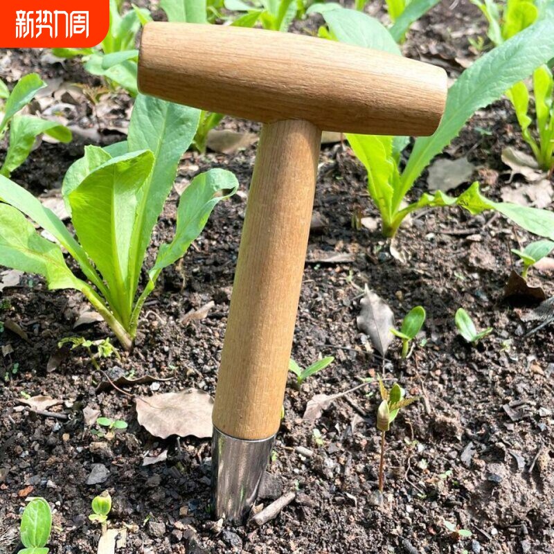播种打洞器移苗追肥不锈钢园艺种菜育苗种花播籽器工具种苗