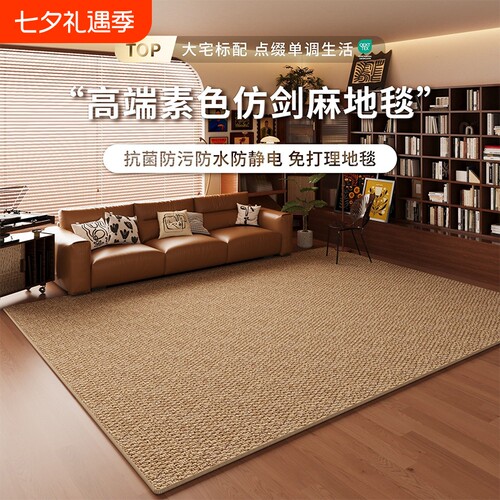 仿剑麻地毯客厅耐磨仿猫爪免洗侘寂中古风地垫奶油高级卧室床边毯 - 封面