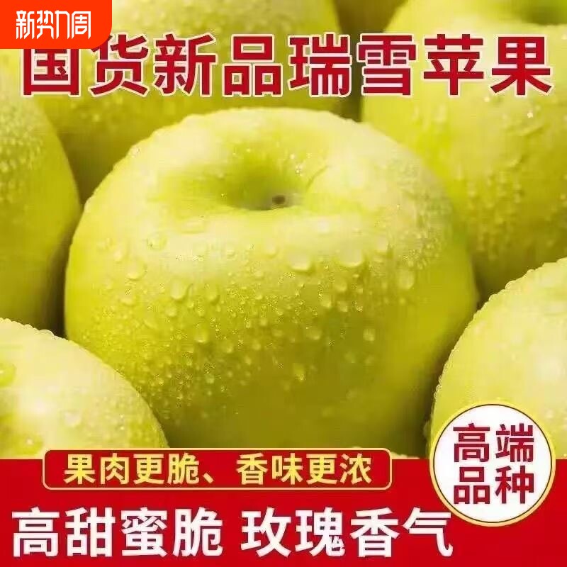正宗瑞雪苹果新鲜当季现摘头茬3斤9斤大果脆甜孕妇水果青苹果整箱