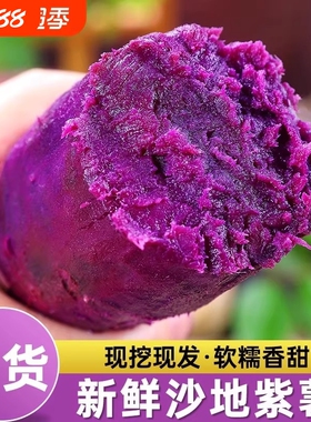 沙地现挖新鲜紫薯紫色红薯地瓜新鲜蔬菜粗粮农家自种正宗沙地紫薯