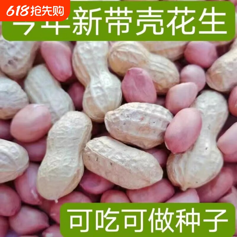 带壳生花生新货薄壳原味皮花生晒干新鲜小花生米水煮做种袋装健康