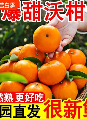 云南高山沃柑自然高甜果肉细嫩化渣多汁橘子新鲜包邮9斤当季现摘