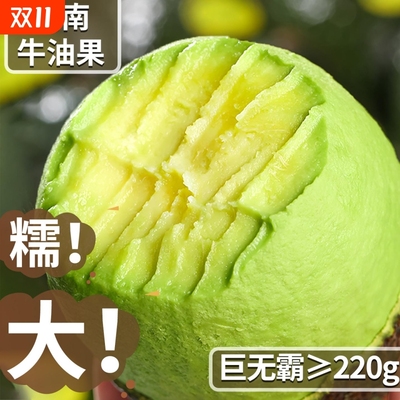 云南哈斯牛油果新鲜水果当季整箱大果熟透孕妇即食辅食鳄梨奶香味