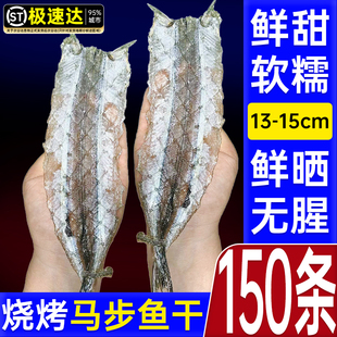 烧烤专用马步鱼自晒针鱼棒棒鱼鱼干商用食材海鲜干货美味调料新鲜