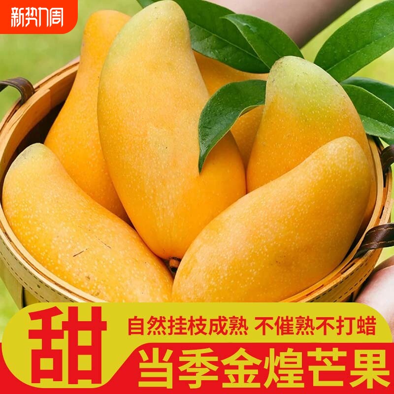 正宗金煌芒应季新鲜水果爆甜大芒果薄皮金煌芒整箱3斤5斤9斤