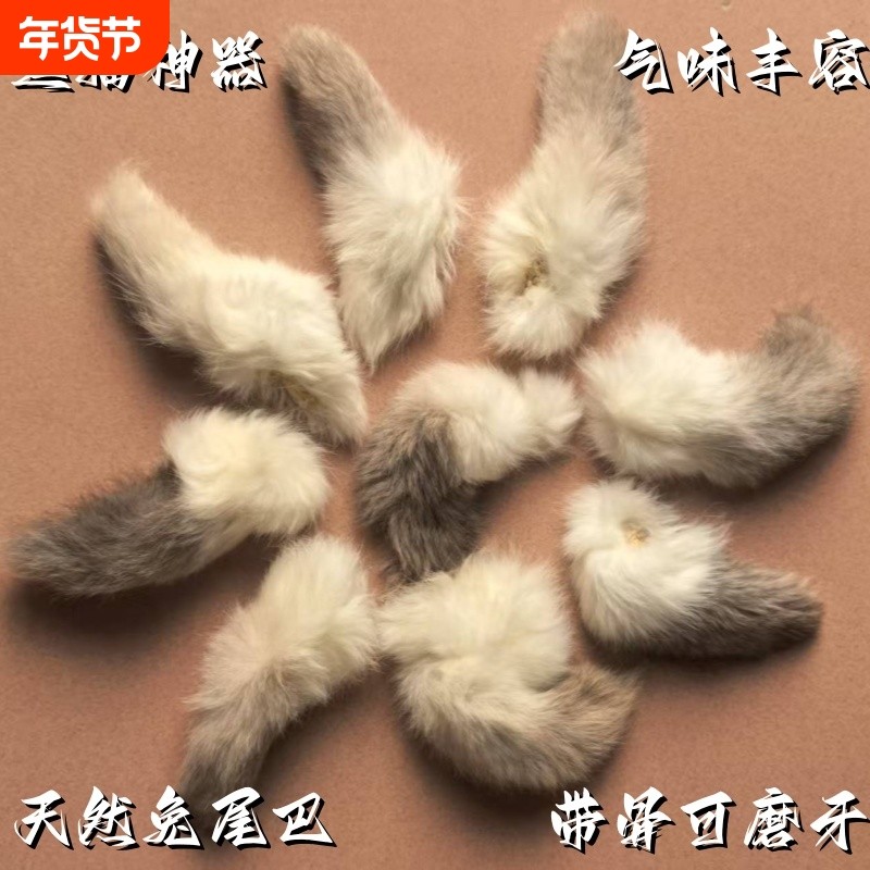 真兔尾巴带尾骨猫咪丰容玩具毛绒闻嗅自嗨解闷逗猫棒宠物动物神器,宠物/宠物食品及用品,逗猫棒,淘宝优惠券,粉丝福利购,淘宝优惠卷