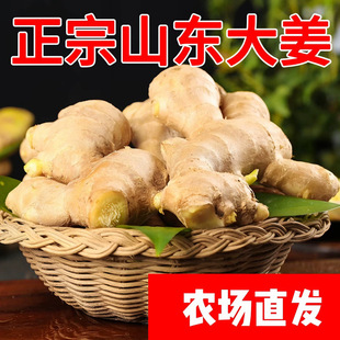 生姜大黄姜山东大姜发货生姜新鲜老姜黄姜生姜月子姜生姜批发