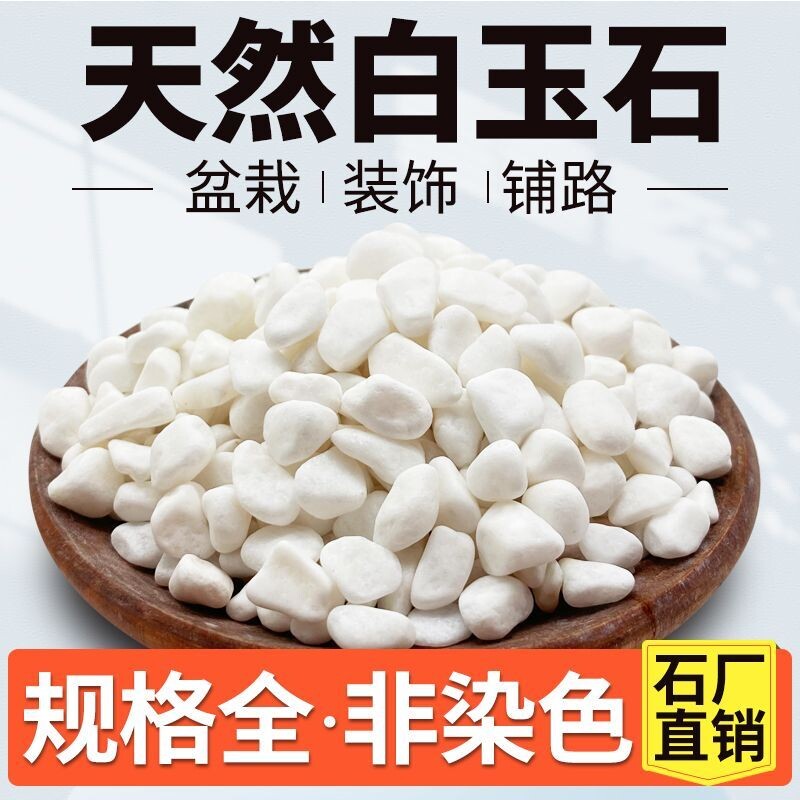 小白石子多肉铺面石头养花鹅卵石雨花石鱼缸造景盆栽庭院铺路铺面