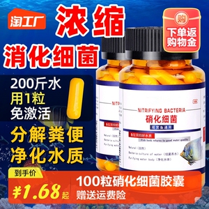 硝化细菌鱼缸专用胶囊净水活菌干粉养鱼水族消化浓缩去黄水亚甲基