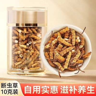 正宗冬虫夏草断草礼盒藏区大断草