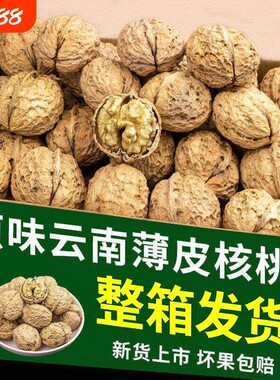 核桃2026新货云南纸皮核桃带壳