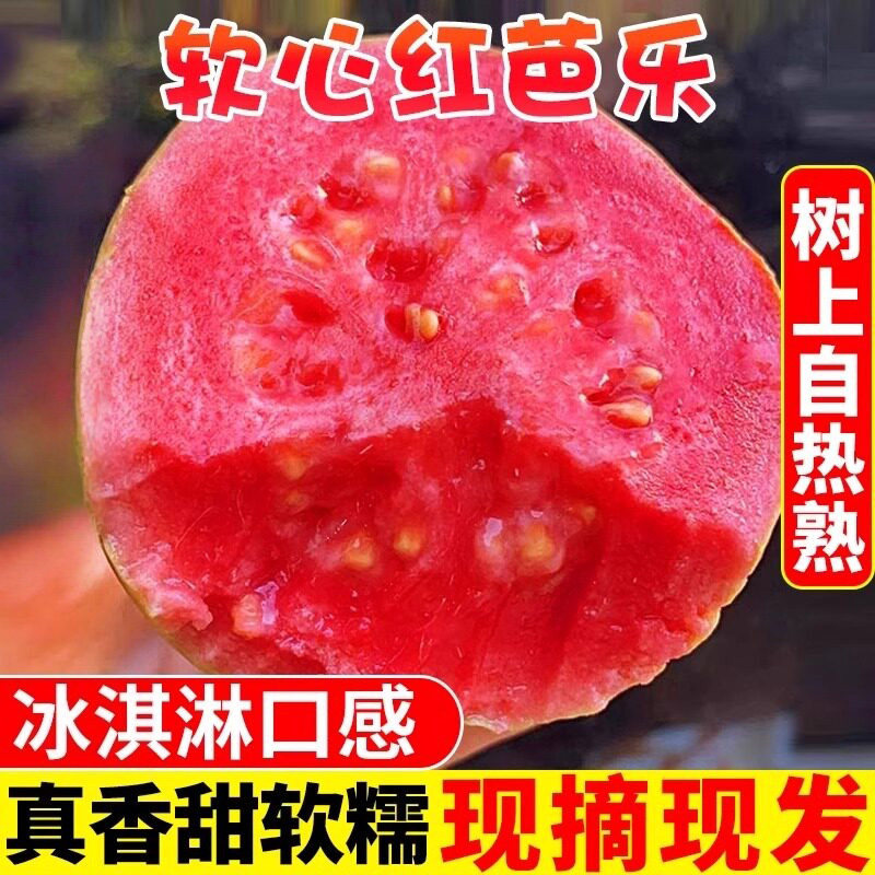 广西软糯红心芭乐5斤新鲜水果包邮应季番石榴胭脂红白心生鲜大果