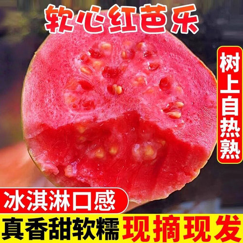 广西软糯红心芭乐5斤新鲜水果包邮应季番石榴胭脂红白心生鲜大果