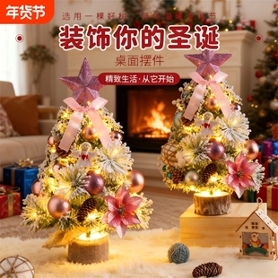 圣诞节迷你圣诞树摆件带灯桌面小型家用仿真树套餐客厅装饰布置