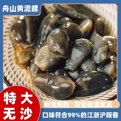 醉泥螺特大黄泥螺鲜活腌制潮汕生腌即食罐装舟山特产海鲜无沙新鲜