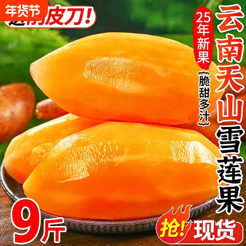 天山雪莲果新鲜水果5斤红心特级当季整箱正品一级云南现挖包邮10,水产肉类/新鲜蔬果/熟食,雪莲果,淘宝优惠券,粉丝福利购,淘宝优惠卷